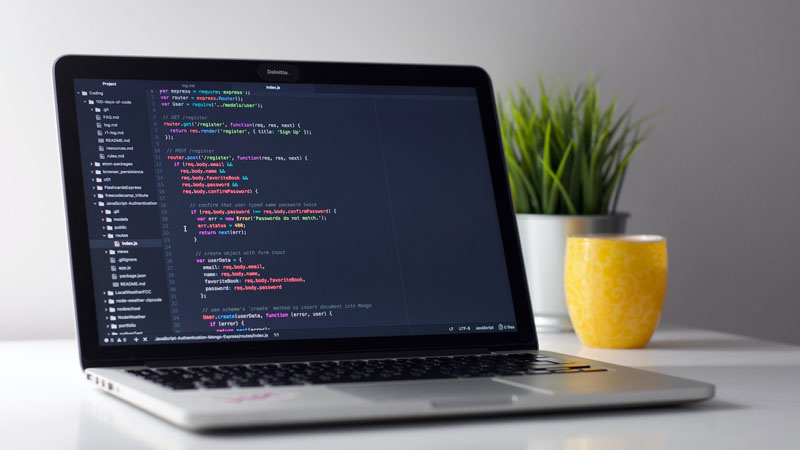 Programming Language for SEO-Friendly Website