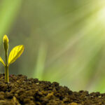 How to Measure the ROI of Your SEO Strategy