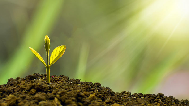 Measure the ROI of Your SEO Strategy