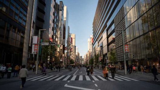 Manipulation vs Optimization